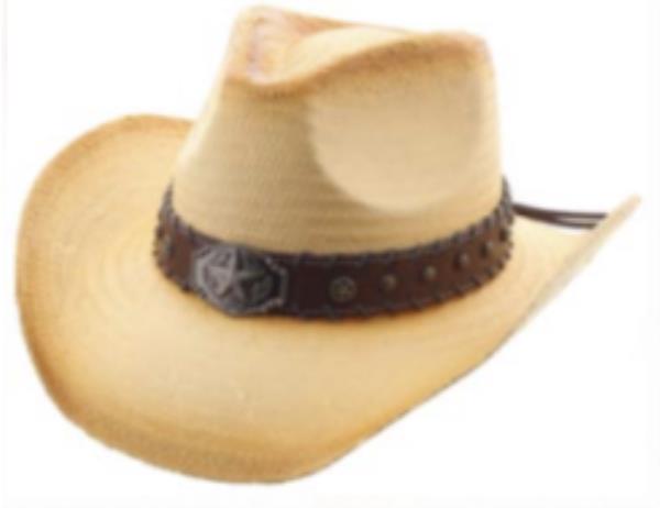 FASHION WESTERN STAR COWBOY HAT
