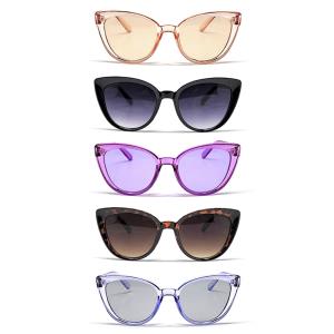 FASHION CHIC CAT EYE SUNGLASSES 1DZ
