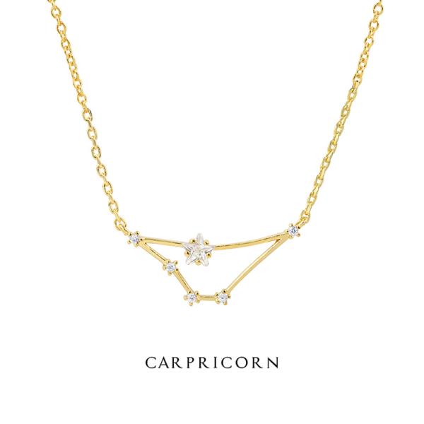 CAPRICORN CONSTELLATION STAR CHARM PENDANT NECKLACE