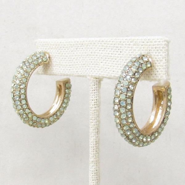 OVAL RHINESTONE EARRING