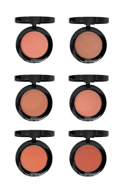 AMUSE BLUSH PERFECTION MATTE SHIMMER (24 UNITS)