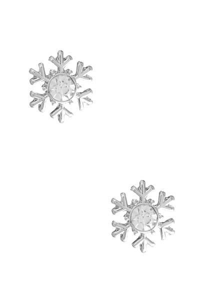 SNOWFLAKE CENTER CRYSTAL EARRING