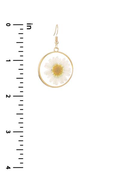 DRIED DAISY FLOWER HOOK EARRING