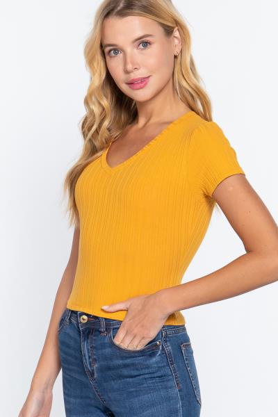 ($3.20 x 6 PCS) SHORT SLV V-NECK RIB KNIT TOP