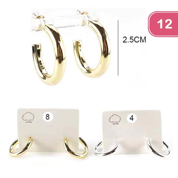 HOOP EARRINGS (12 UNITS)