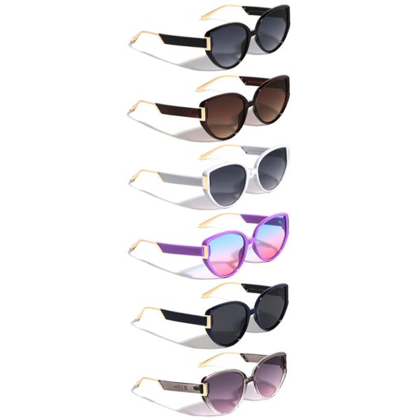 GOLD HINGE TIP ACCENT RETRO FASHION CAT EYE SUNGLASSES 1DZ