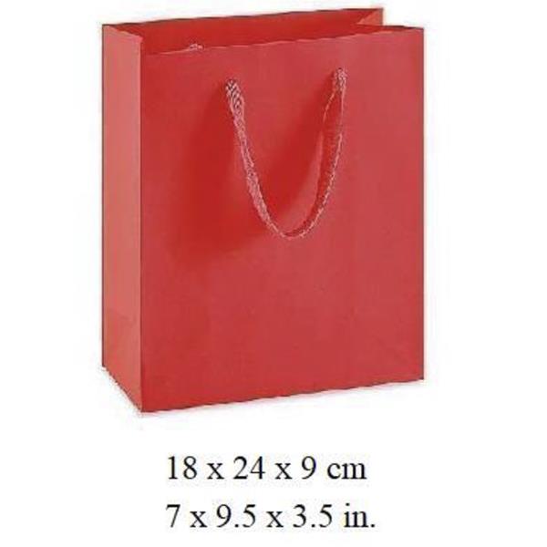 CHRISTMAS PAPER GIFT BAG (12 UNITS)