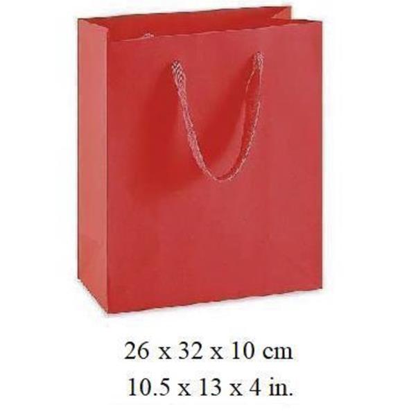 CHRISTMAS PAPER GIFT BAG (12 UNITS)