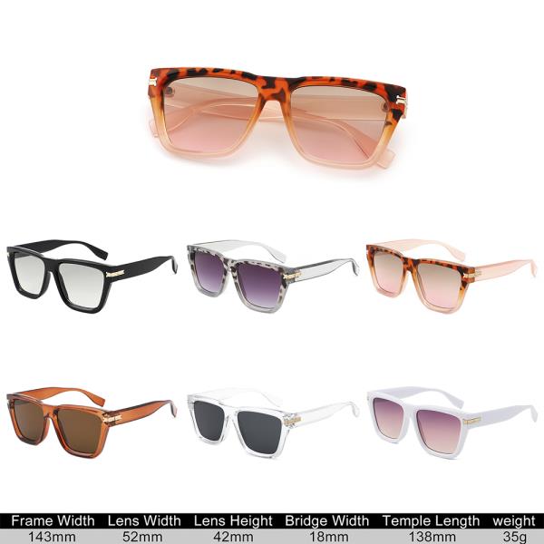 CHIC TINTED SQUARE SUNGLASSES 1DZ