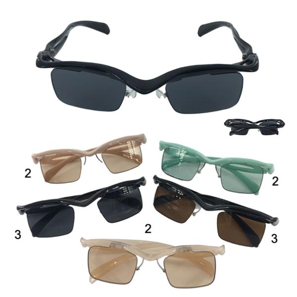 RECTANGULAR BUTTERFLY SUNGLASSES 1DZ