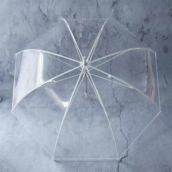 CLEAR UMBRELLA