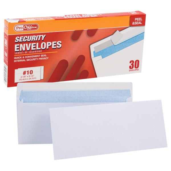 PRO OFFICE SECURITY ENVELOPES 30 COUNT