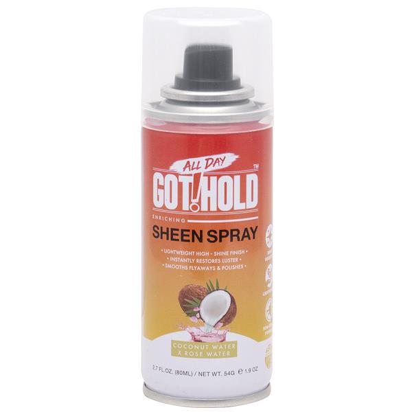 EBIN ALL DAY GOT HOLD SHEEN SPRAY ENRICHING 80ML
