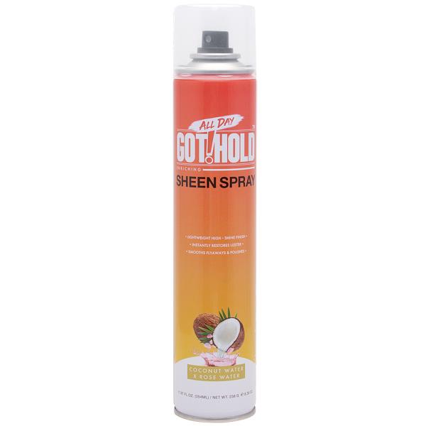 EBIN ALL DAY GOT HOLD SHEEN SPRAY ENRICHING 354ML