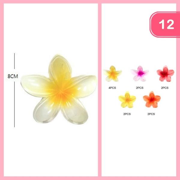 HAWAII FLOWER CLAW CLIP (12 UNITS)