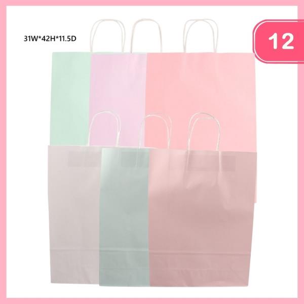 PAPER GIFT BAGS (12 UNITS)