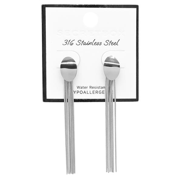 SECRET BOX STAINLESS STEEL DANGLE EARRING