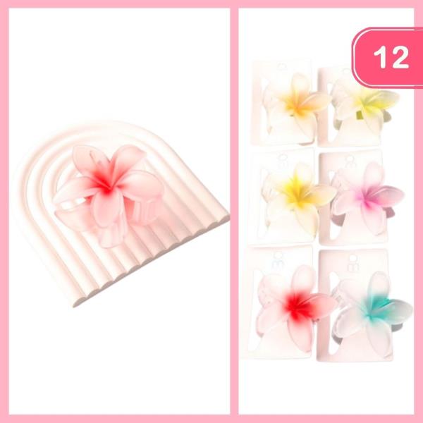 OMBRE FROST PLUMERIA CLAW CLIP (12 UNITS)