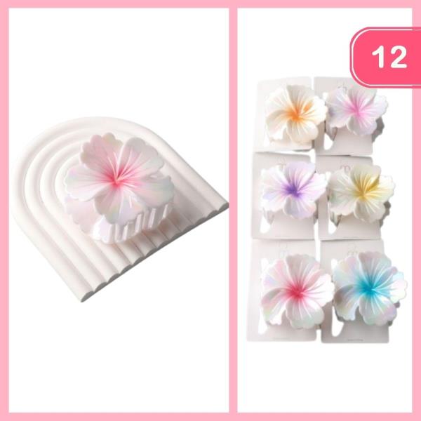 AB OMBRE HIBISCUS CLAW CLIP (12 UNITS)