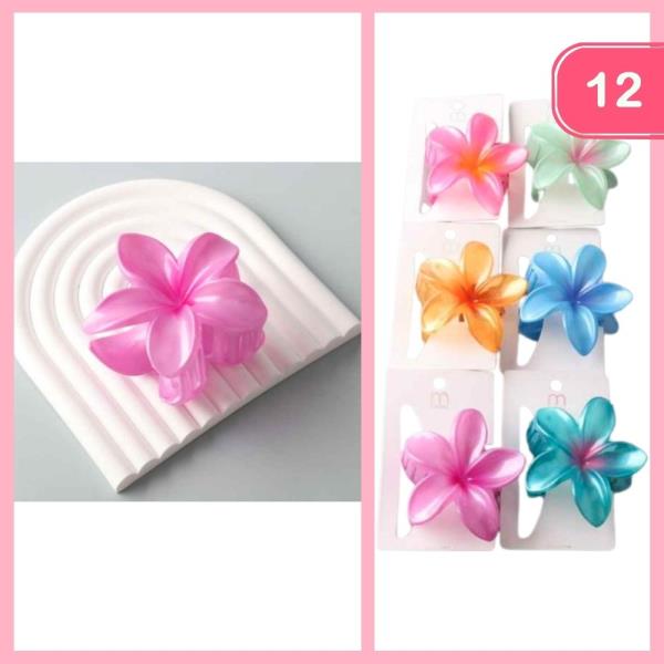 OMBRE PLUMERIA HAIR CLAW CLIP (12 UNITS)