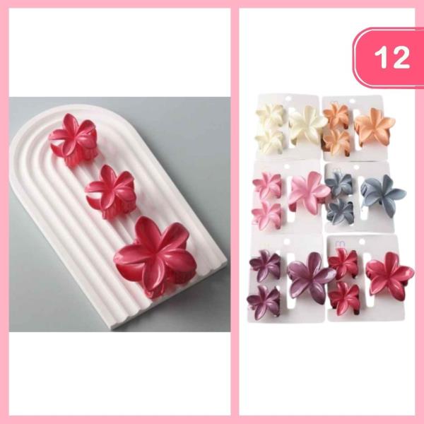 MIX PLUMERIA CLAW CLIPS SET (12 UNITS)