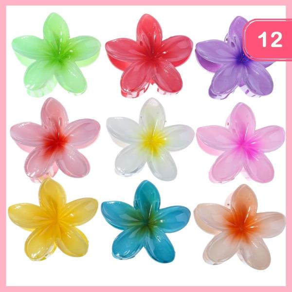 ACRYLIC HAIR CLAW CLIP (12 UNITS)