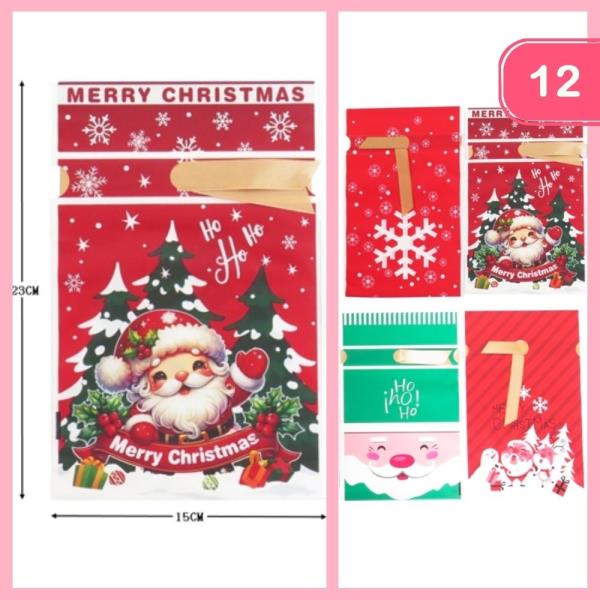 CHRISTMAS GIFT BAG (12 UNITS)