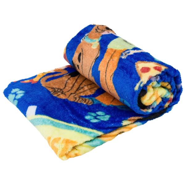 SCOOBY DOO SILK TOUCH THROW BLANKET