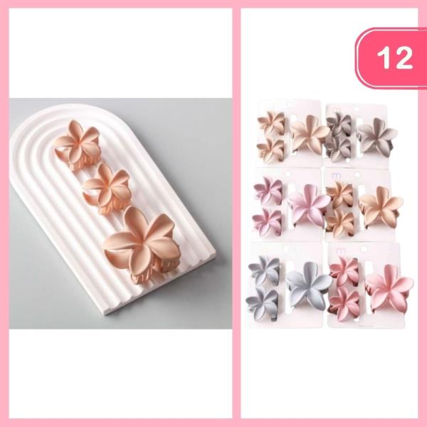 MIXED MATTE PLUMERIA CLAW CLIP (12 UNITS)