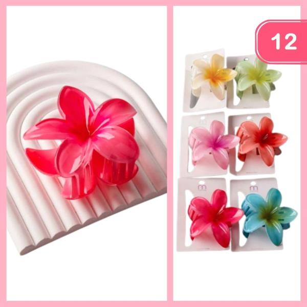 OMBRE PLUMERIA CLAW CLIP (12 UNITS)