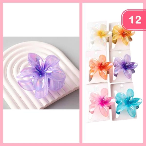 AB OMBRE PLUMERIA CLAW CLIP (12 UNITS)