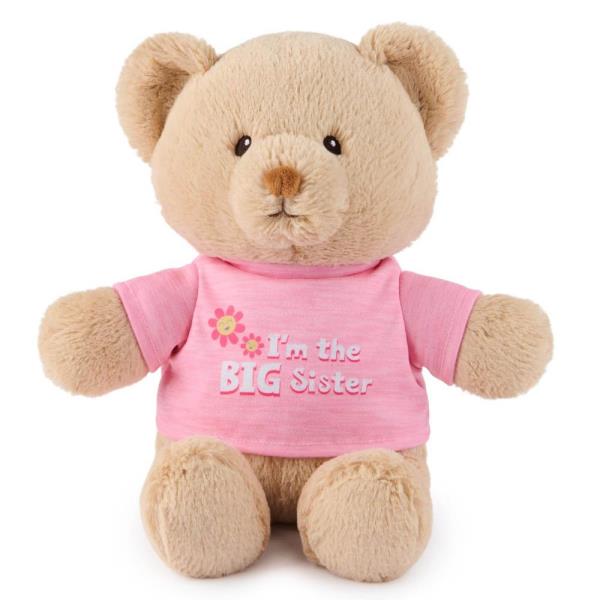 WHOLESALE GUND I`M THE BIG BROTHER SUSTAINABLE MESSAGE BEAR WITH BLUE T-SHIRT, TEDDY BEAR