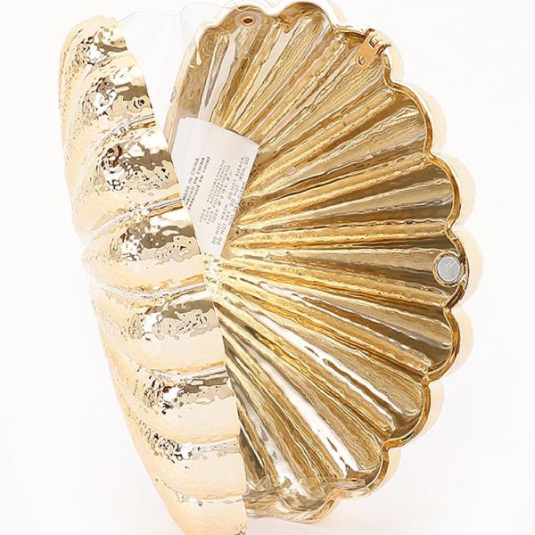 METALLIC ACRYLIC CLUTCH