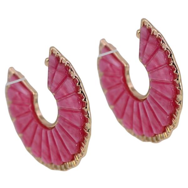 C HOOP W RESIN EARRING