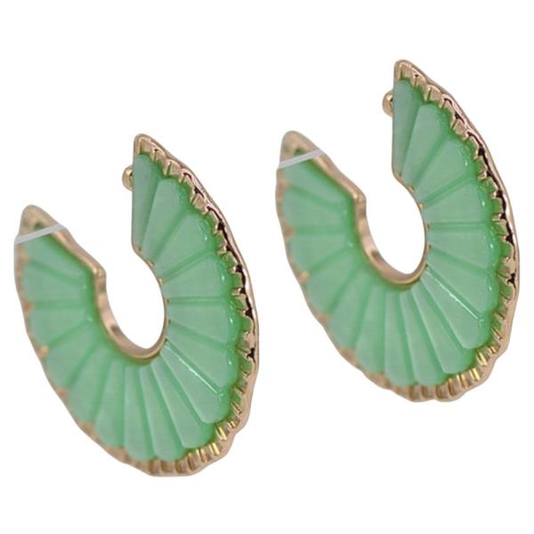 C HOOP W RESIN EARRING