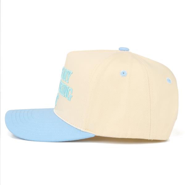 CC THIS IS MY DOG WALKING HAT TRUCKER HAT