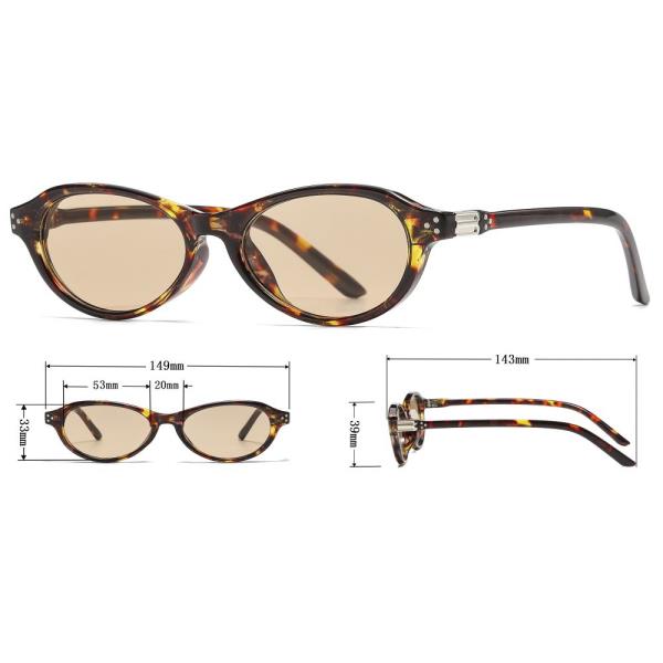 OVAL SHAPE CHIC SUNGLASSES 1DZ