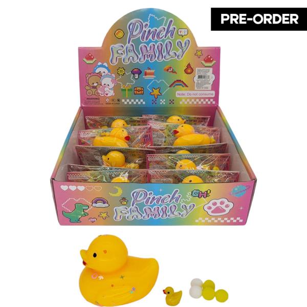 ETA-5/31 PINCH FAMILY RUBBER DUCK SQUISHY TOY (12 UNITS)