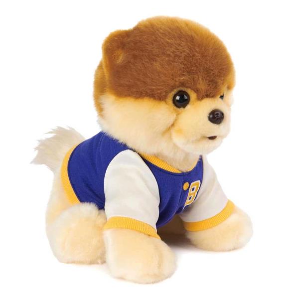 Wholesale GUND Boo, The Worlds Cutest Dog Varsity Jacket Plush Pomeranian Stuffed Animal, 9