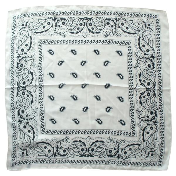 BORDERED PAISLEY BANDANA PRINT SCARF