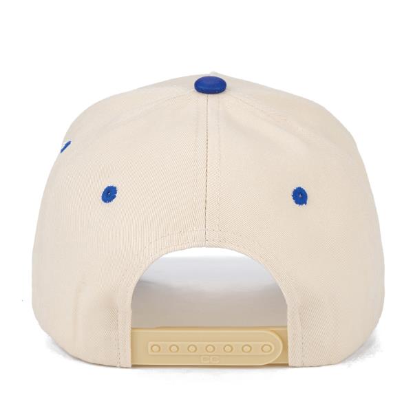 CC USA TRUCKER HAT