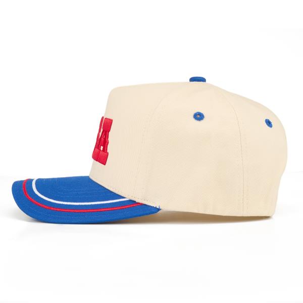 CC USA TRUCKER HAT