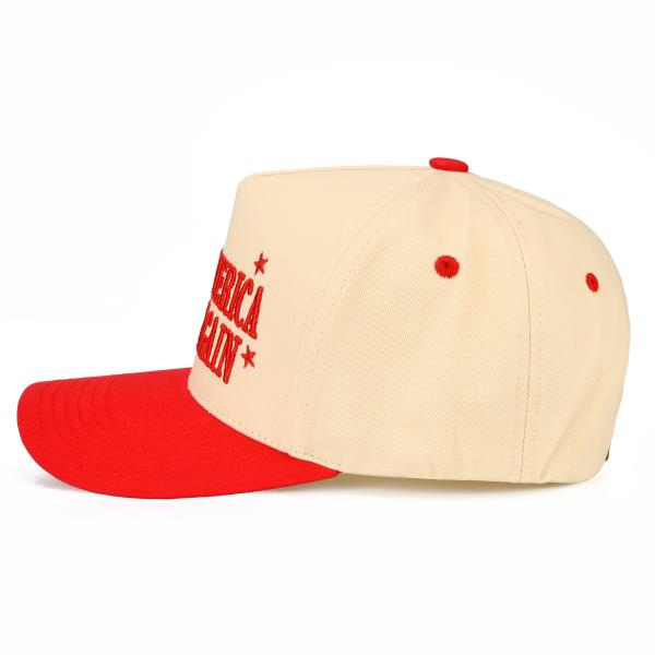 MAKE AMERICA PARTY AGAIN HAT