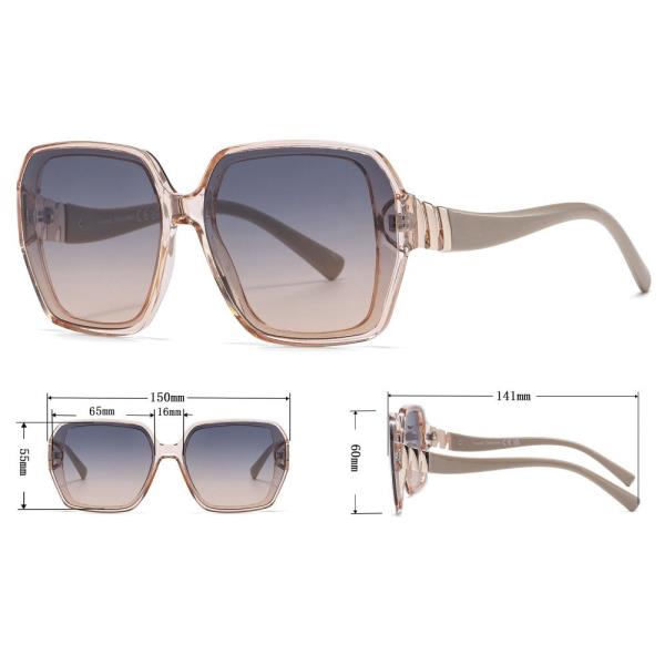 TRENDY SQUARE SUNGLASSES 1DZ