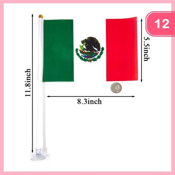 MEXICO FLAG (12 UNITS)