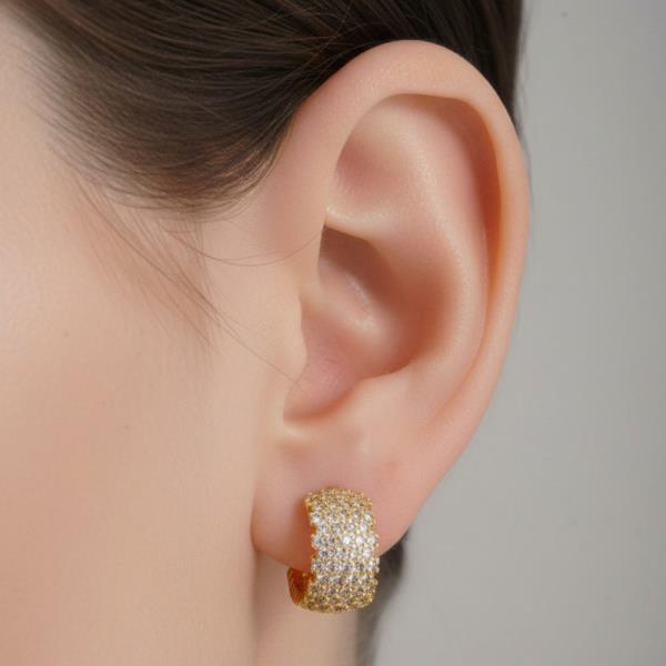 14K GOLD WHITE GOLD DIPPED MICRO PAVE CZ EARRING